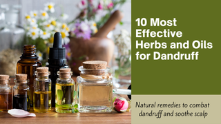 10 Most Effective Herbs and Oils for Dandruff